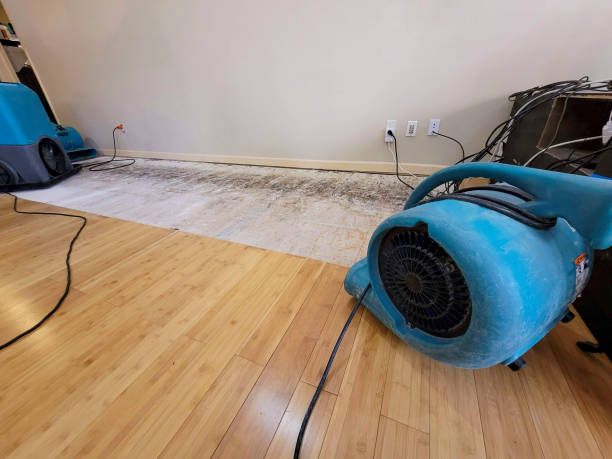 Professional Sewage Cleanup technician working in Rye, CO